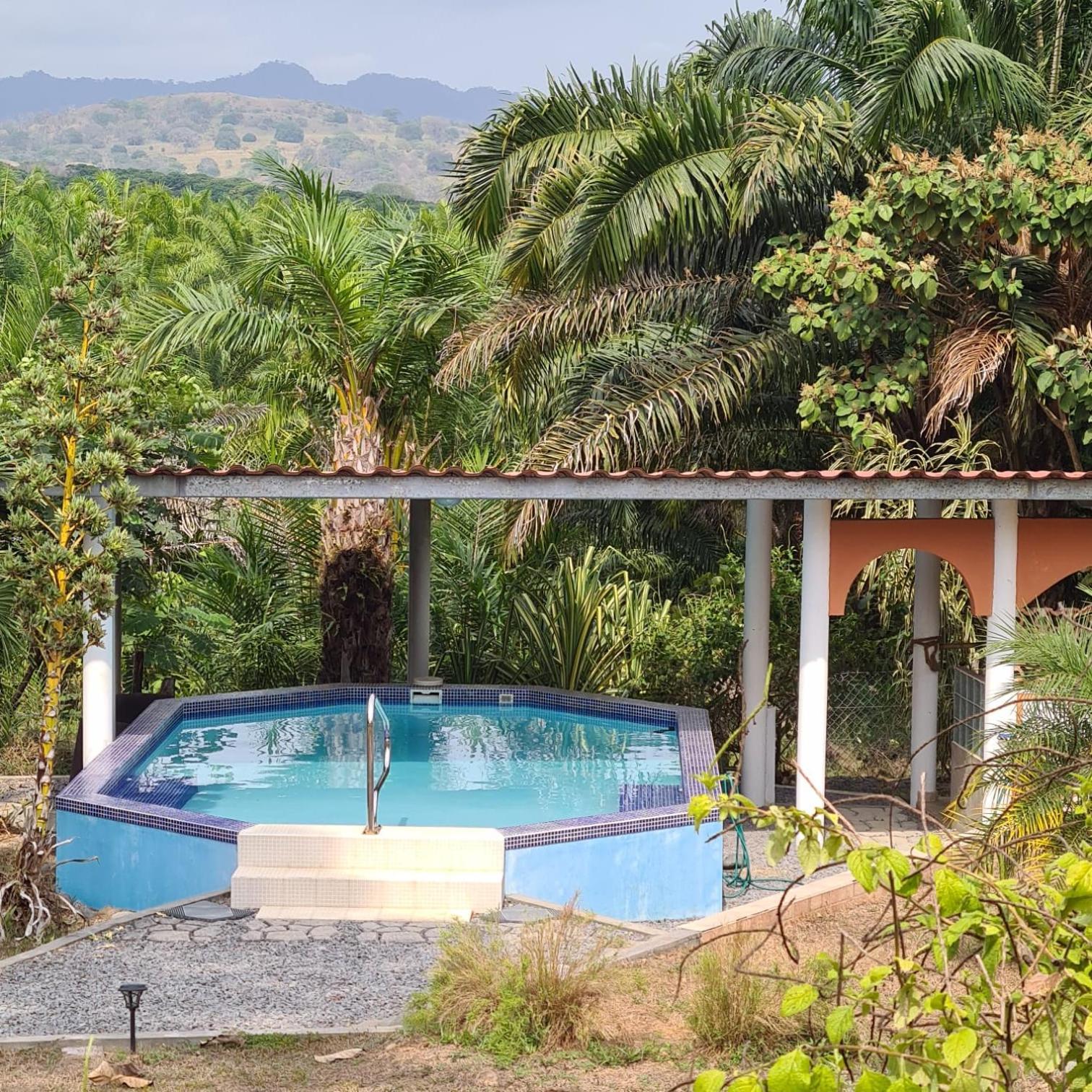 لاس لاخاس Magic Mountain Lodge المظهر الخارجي الصورة